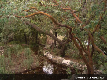 שר החקלאות הכריז על מינוי מועצת הגנים הבוטניים